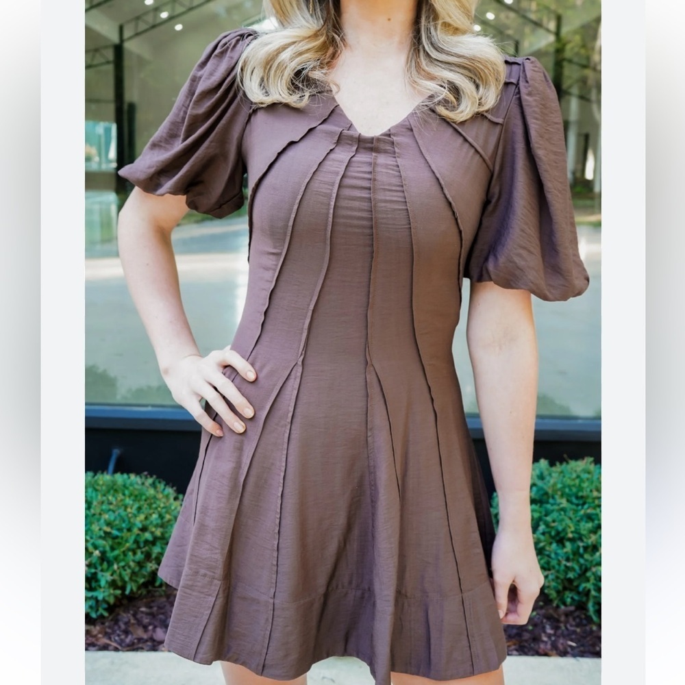 TCEC Chocolate Brown Pleated Fitted Fit and Flare Mini Dress Size Medium